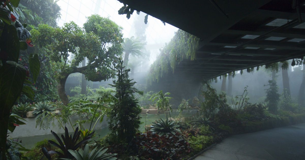 Gardens by the Bay / © bigpicture.ru