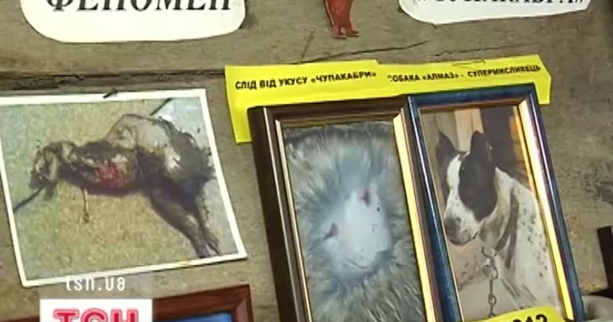 Діти переконані, що у школі завівся полтергейст