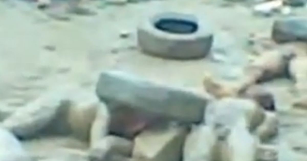 Студентів закидали камінням і спалили живцем