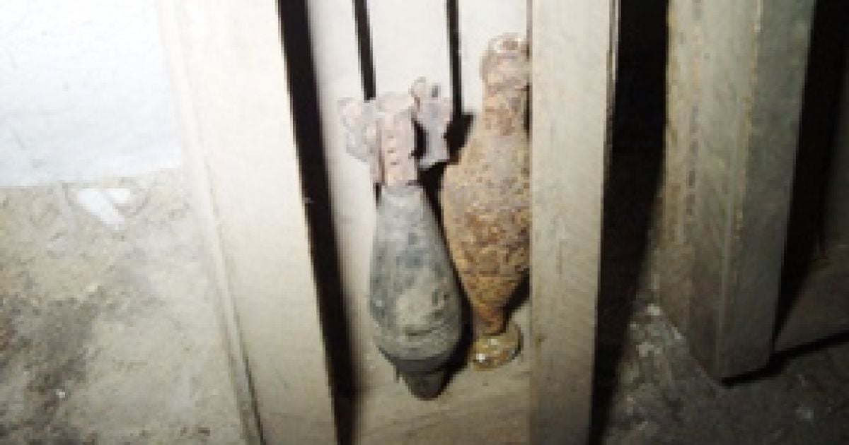 Міну знайдено просто в стовбурі сосни