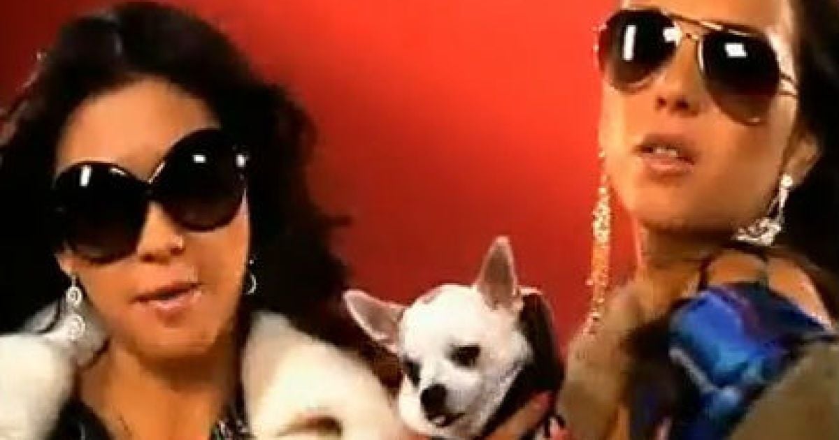 6 тисяч євро - за дві пісні (більше гурт просто немає) та годинний секс