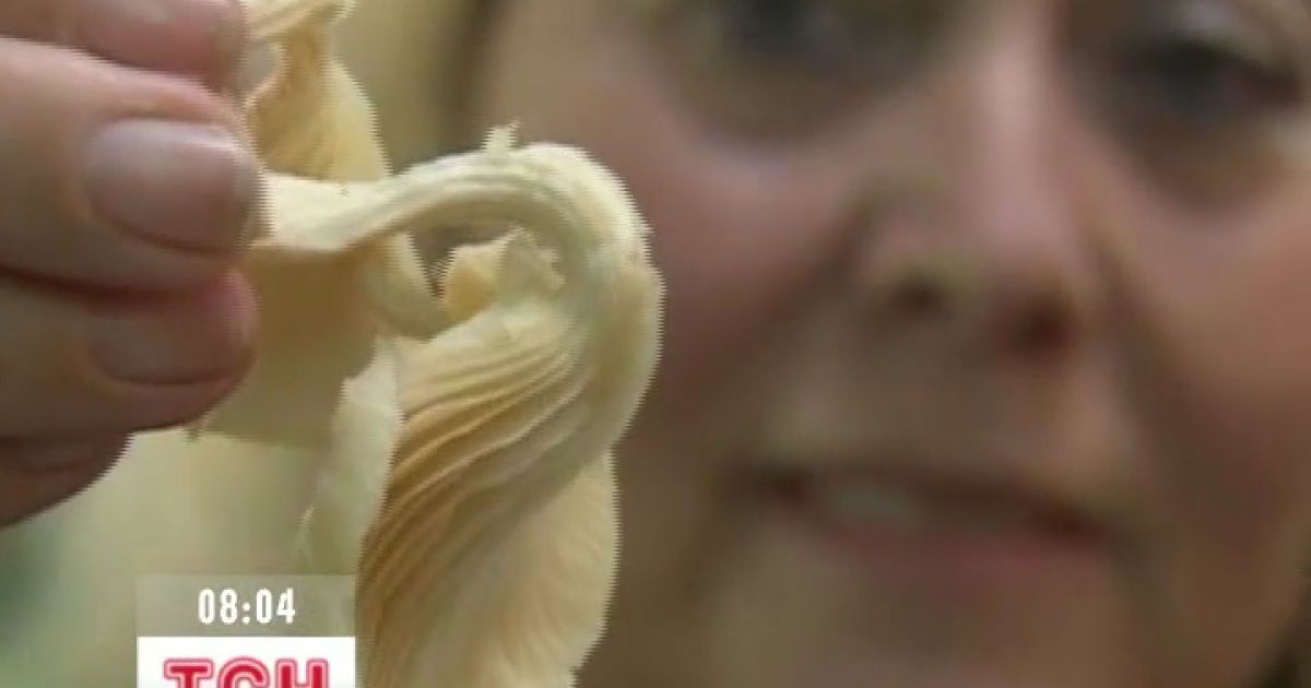 Гриби можуть допомогти з лікуванням раку