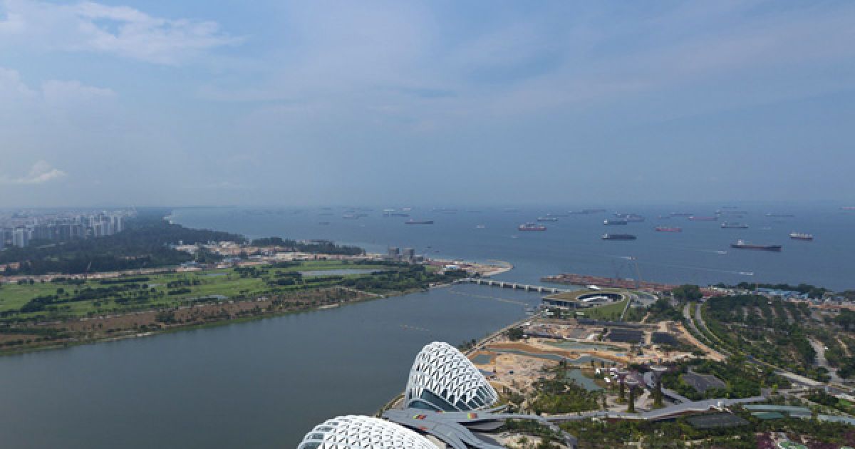 Gardens by the Bay / © bigpicture.ru