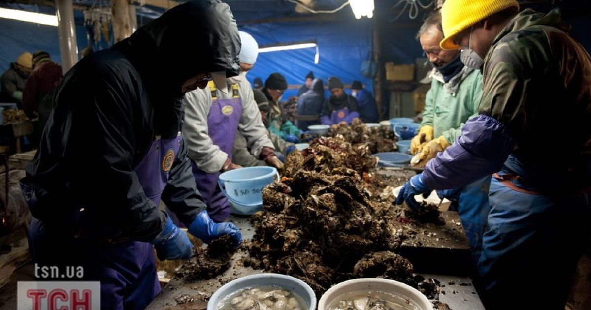 Чоловіки працюють на морській фермі в Японії / © Фото EPA/UPG