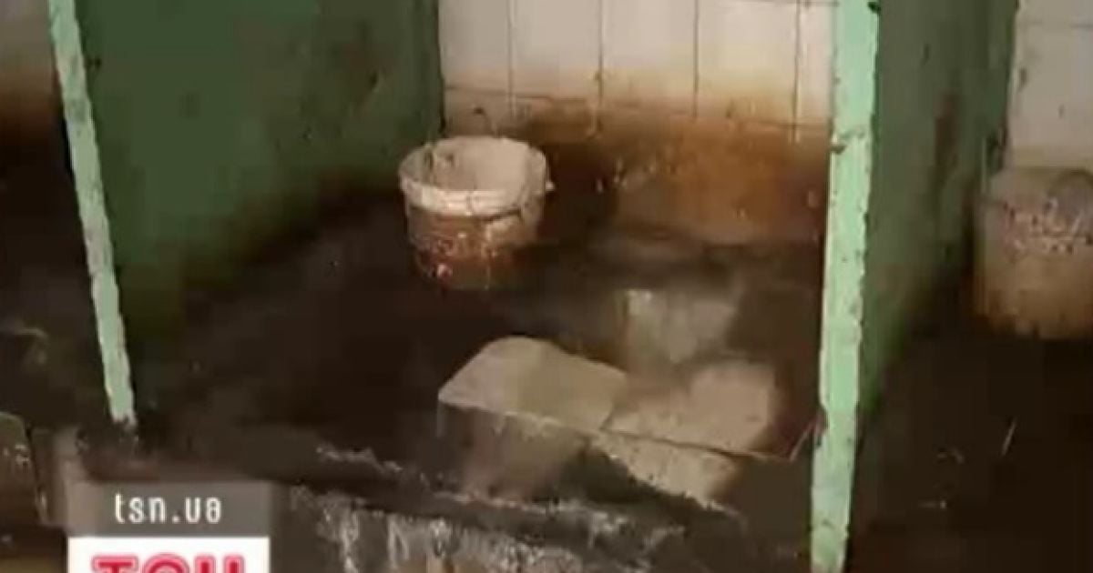 Знайти цей туалет просто - по запаху