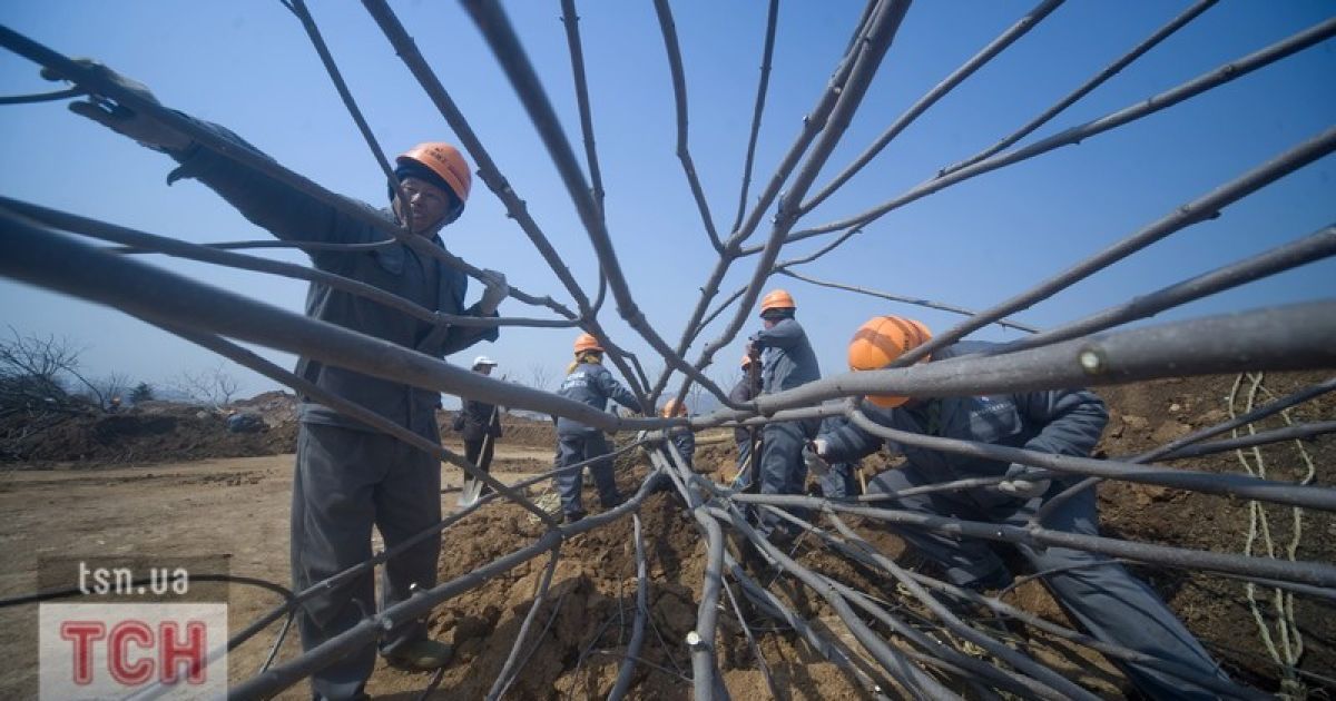 Китайцям будують міста, де ніхто не живе / © Фото EPA/UPG