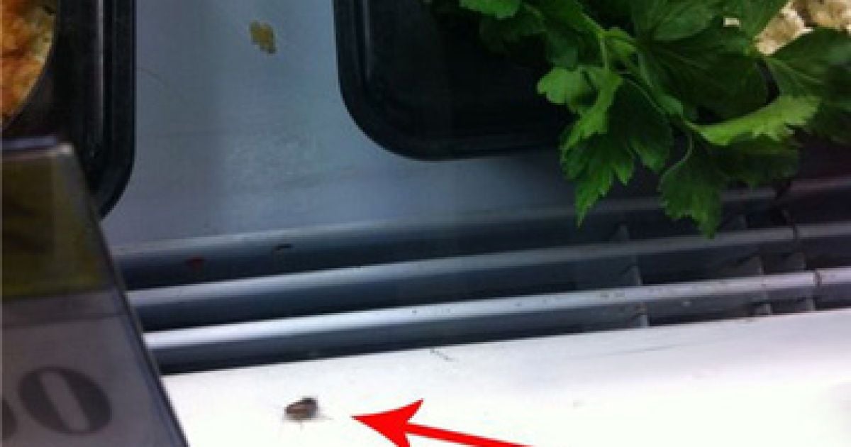 В облсес повідомили, що про комах на продуктових полицях знають