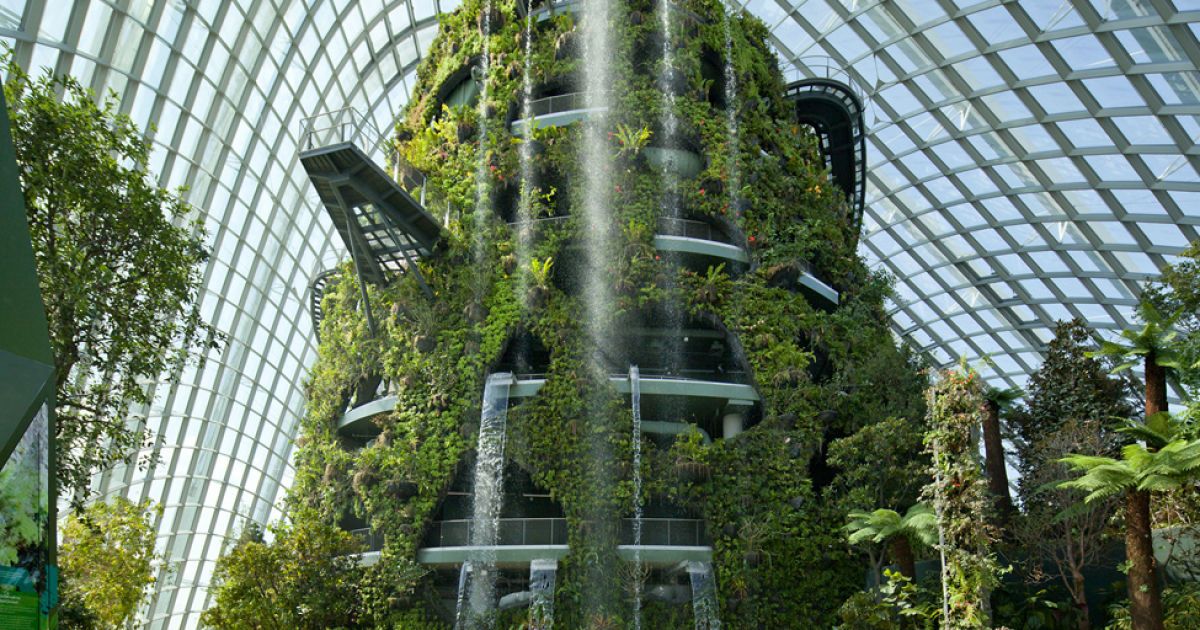 Gardens by the Bay / © bigpicture.ru