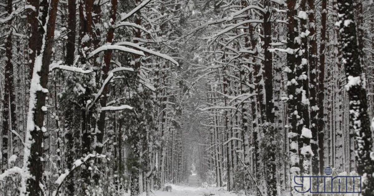 На Прикарпатті знайшли зниклого чоловіка