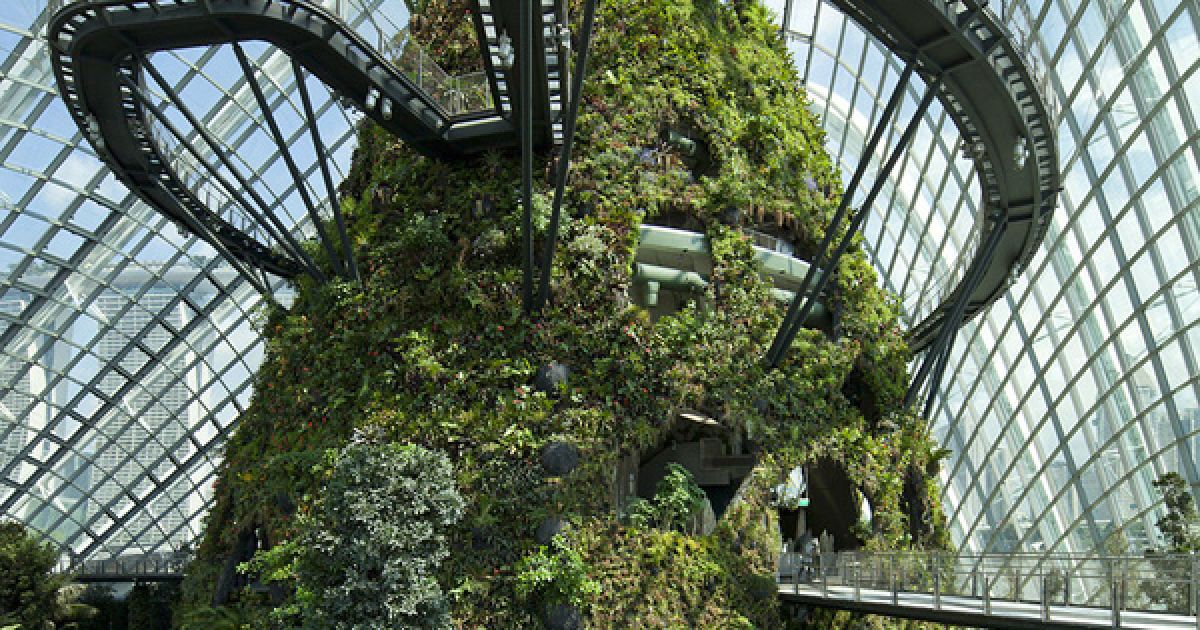 Gardens by the Bay / © bigpicture.ru