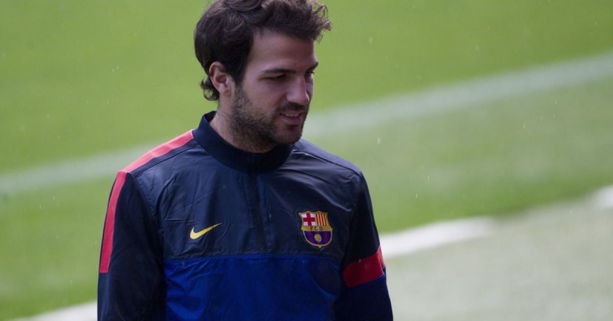 Фабрегас радий виходу до Євро-2016