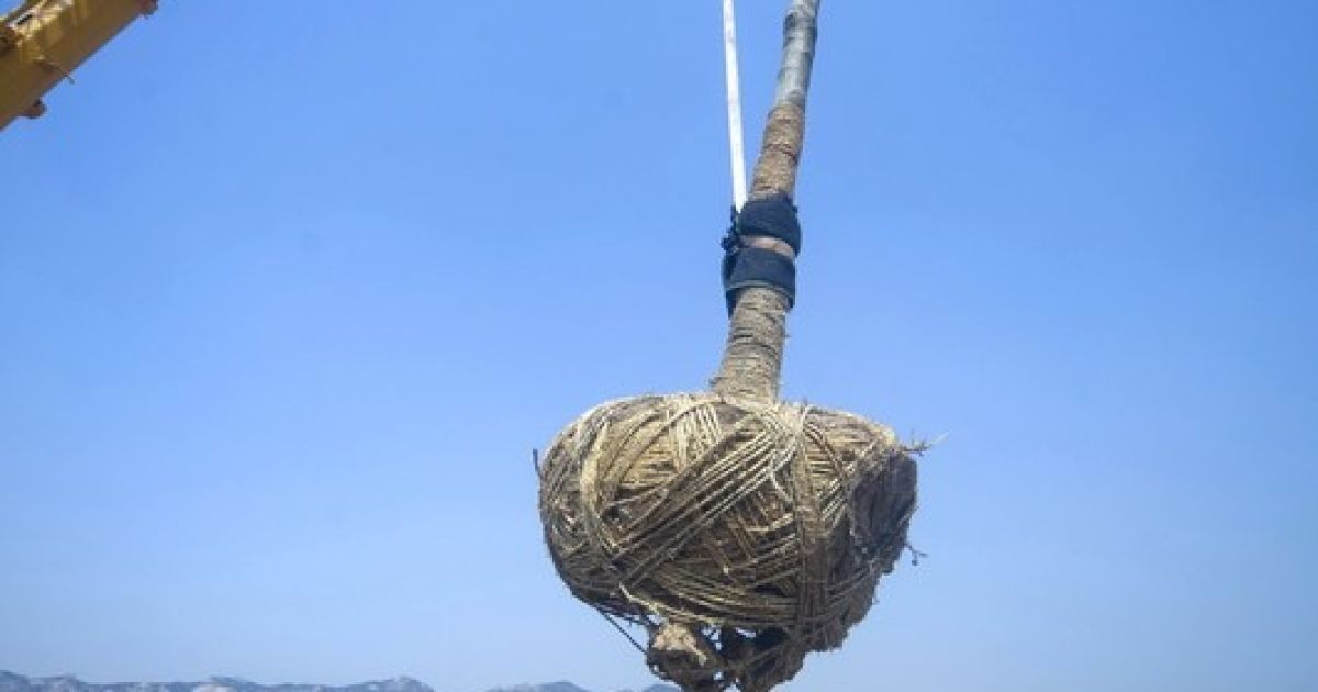 Китайцям будують міста, де ніхто не живе / © Фото EPA/UPG