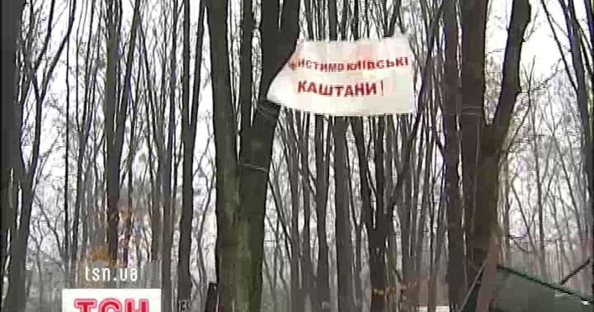 В Києві почався суд за Сирецький гай.