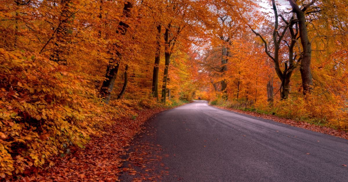 Стовпчик термометра в українській столиці піднявся до 10,7 градусів