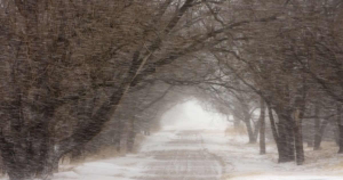 У Луганську негода поставила під загрозу життя двох немовлят