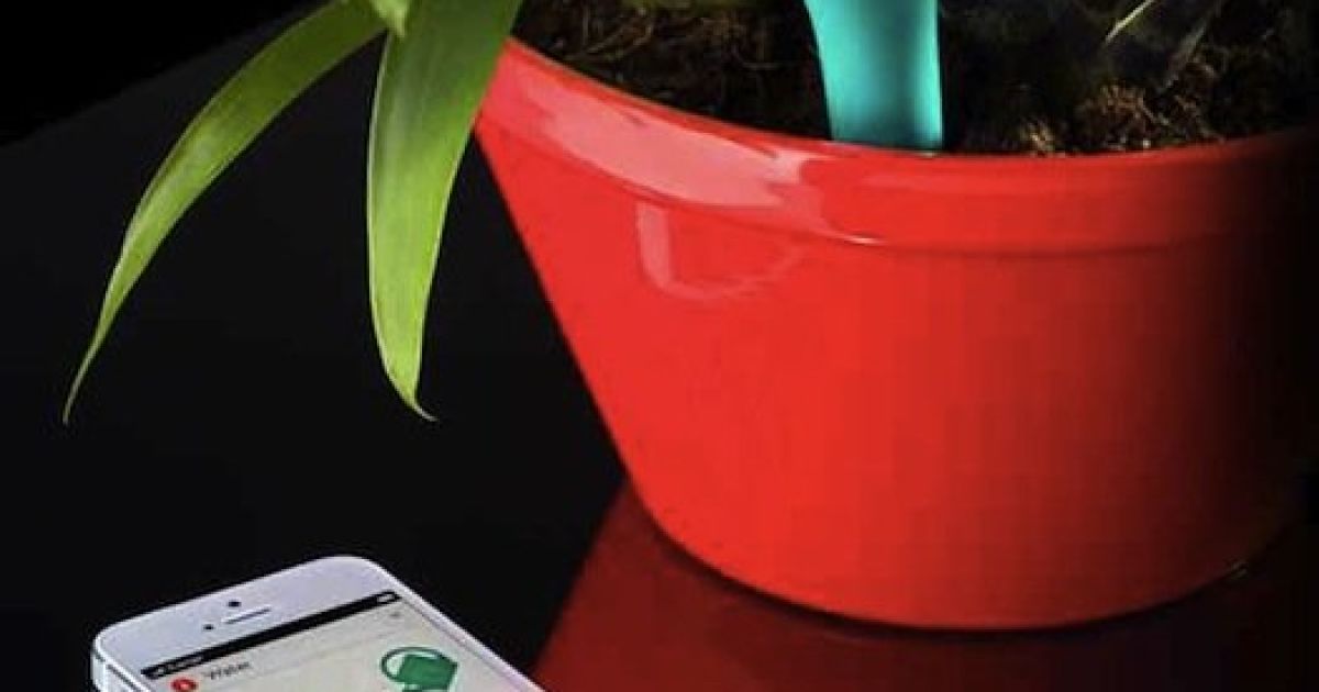 Parrot Flower Power. Набридло стежити за квітами? Цей гаджет вам підкаже, коли потрібно полити, удобрити і навіть перемістити в тінь рослину. Всі повідомлення приходять на телефон. / © popsci.com