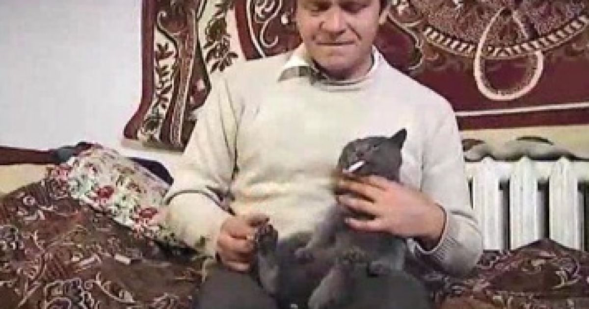 Василь не вважаэ, що робить з котом щось погане