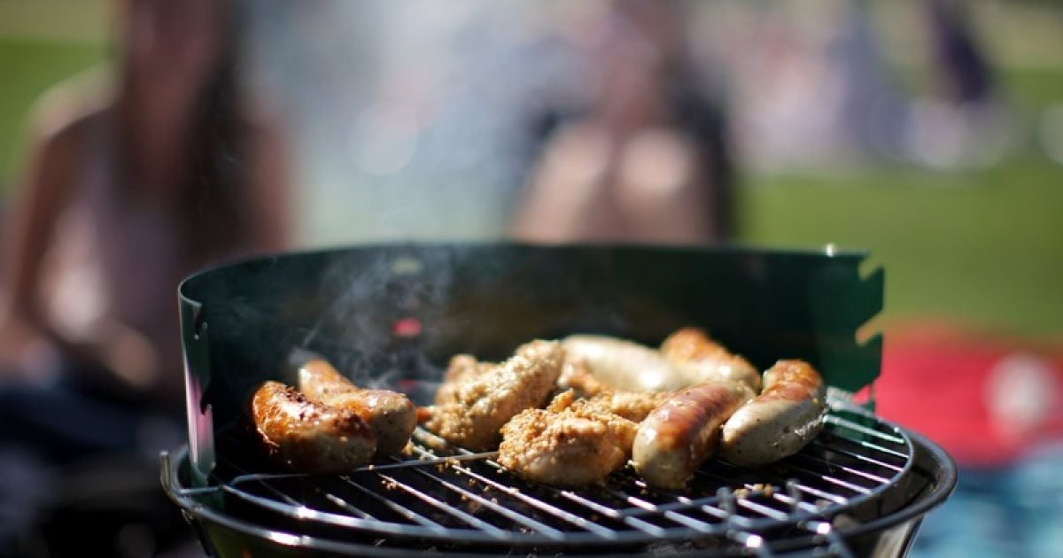 Рятувальники радять відпочивальникам не ходити у ліс цими вихідними