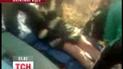 На Криворожье под рыбалкой внезапно провалился лед