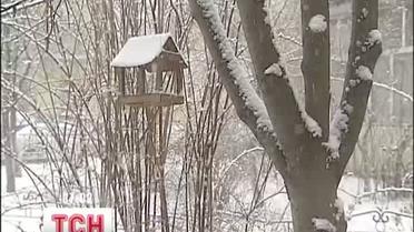 Синоптики пообещали теплую зиму с резкими морозными перепадами
