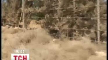 Израильские военные атаковали транспортную колонну на границе Сирии и Ливана