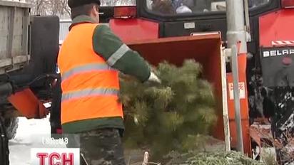 Після свят смітники потопають у новорічних деревах