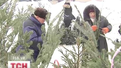 Напередодні Нового року столиця перетворилася на ялинковий базар