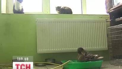 У Київському зоопарку завелися тварини-"нелегали"