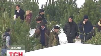 Ялинкові базари заполонили всі українські міста