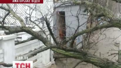 На Одещині почали масово падати дерева, а снігопад Немо захопив США