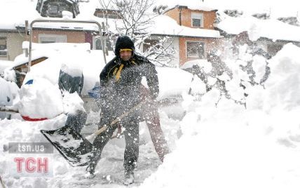 Через рекордний снігопад у Києві дерева чавили машини та людей