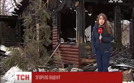Після жахливої пожежі у київському кафе на вулиці без нагляду залишився живий вовк