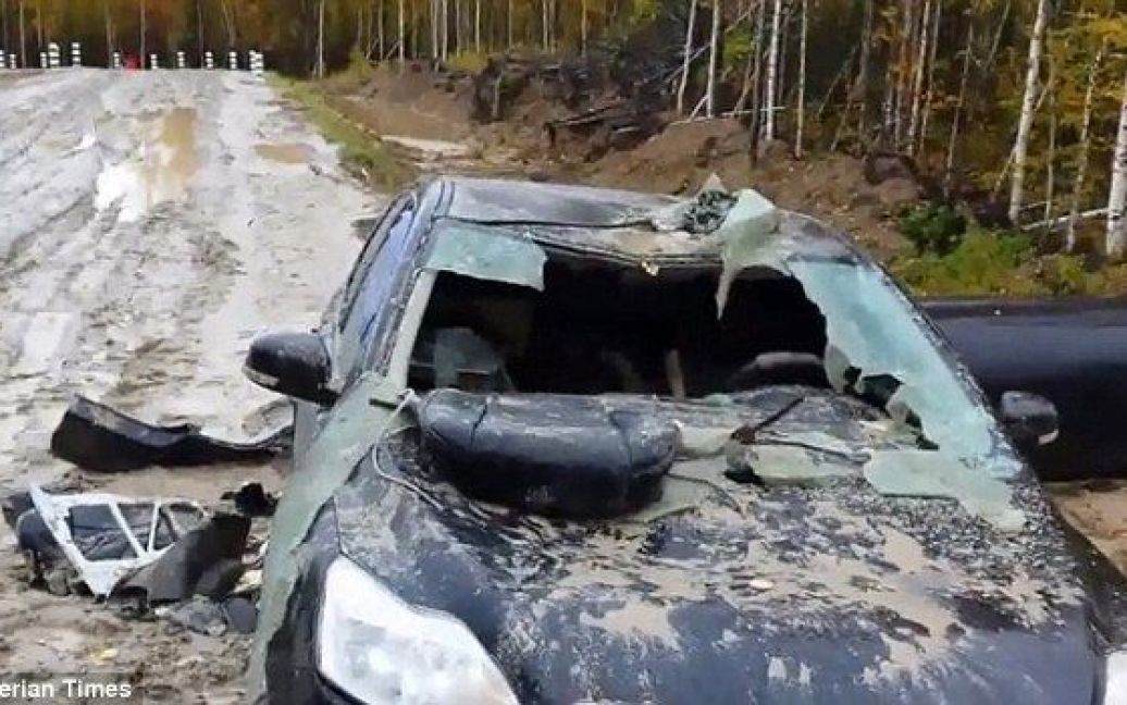 Медведь уничтожил авто когтями и клыками / © Siberian Times