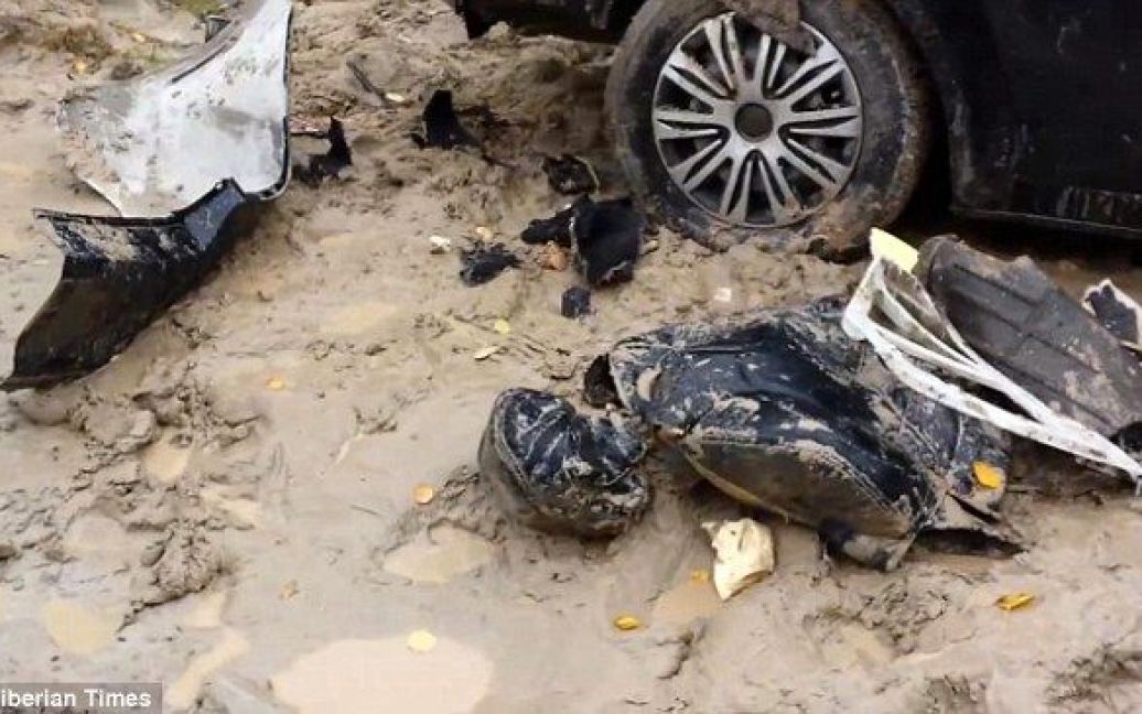 Медведь уничтожил авто когтями и клыками / © Siberian Times