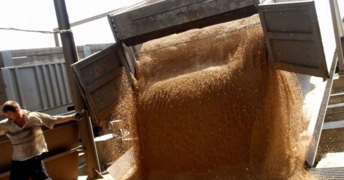 В Минагрополитики выяснили как были присвоенно имущество государственного оператора на рынке зерна