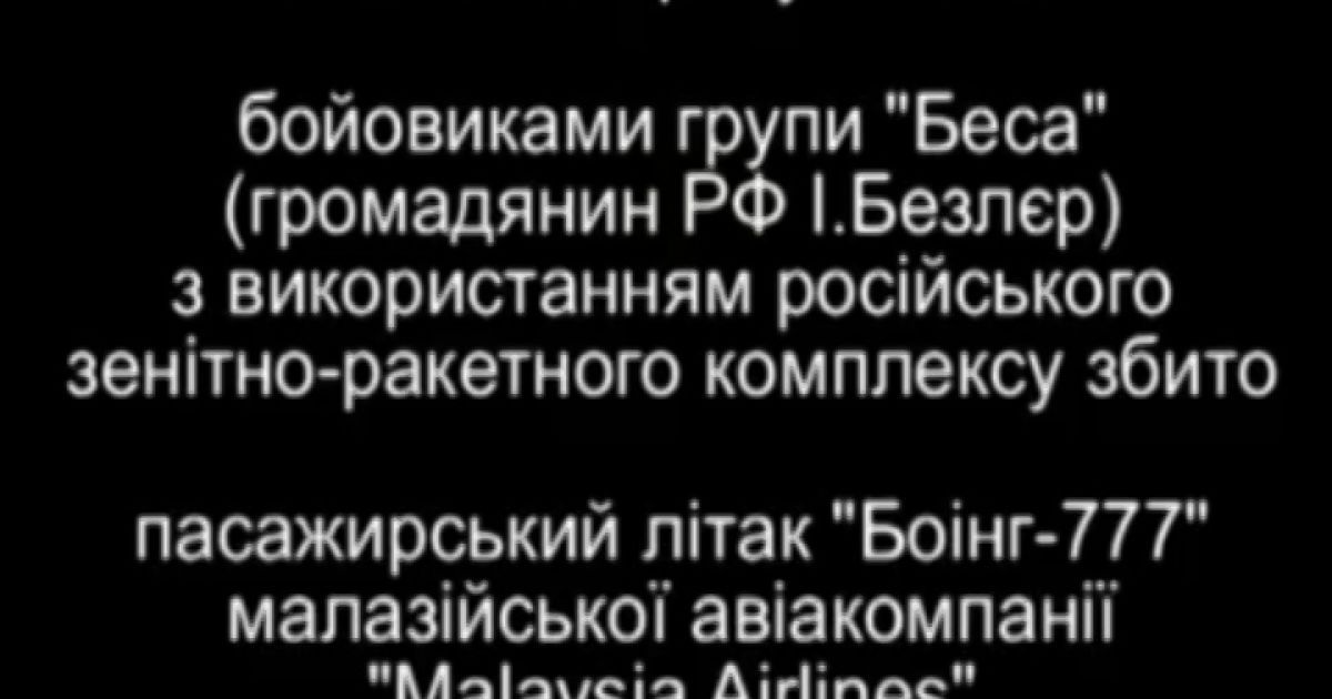 Именно террористы сбили малазийский самолет
