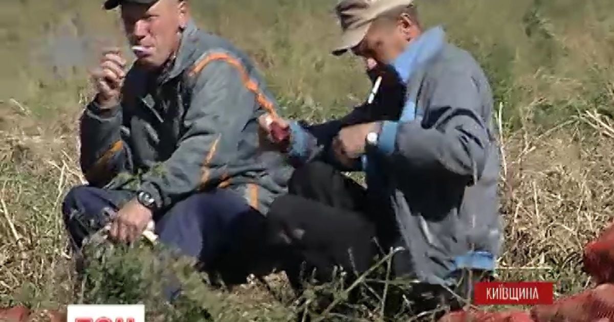 в'язні заробляють 20 гривень щодня