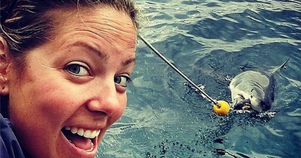 Акула охотилась рядом с вчитлелькою / © instagram.com/ab_roo