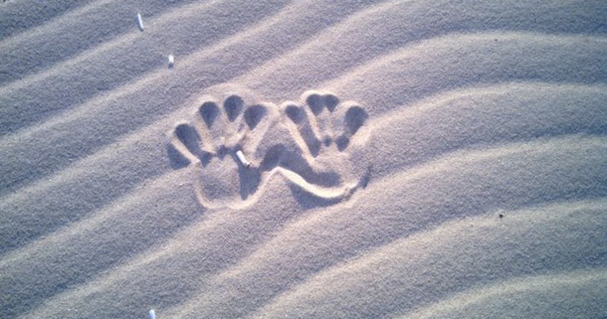 Девушка отправилась в южный город в зоне АТО / © tumblr.com