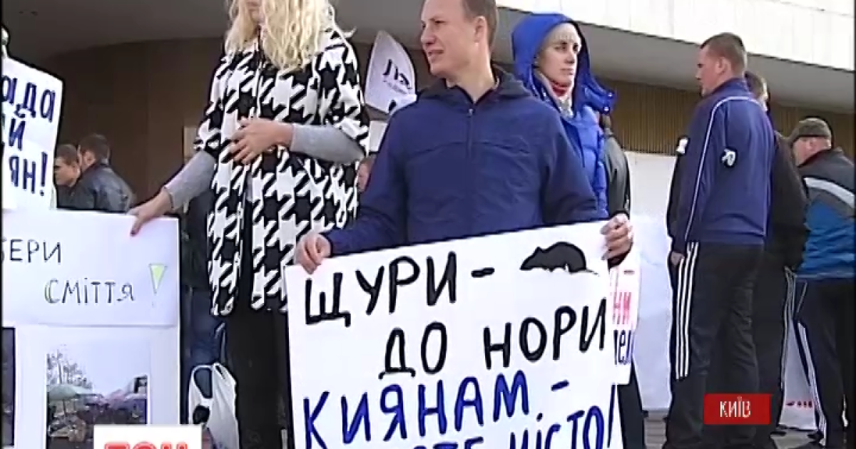 Под ЦИК собрались около 10 пикетов