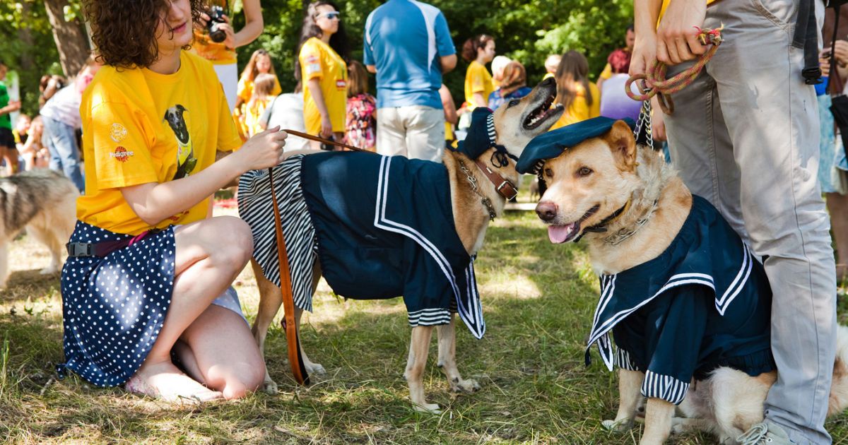 В Киеве состоялась выставка беспородных собак "Кубок Барбоса"