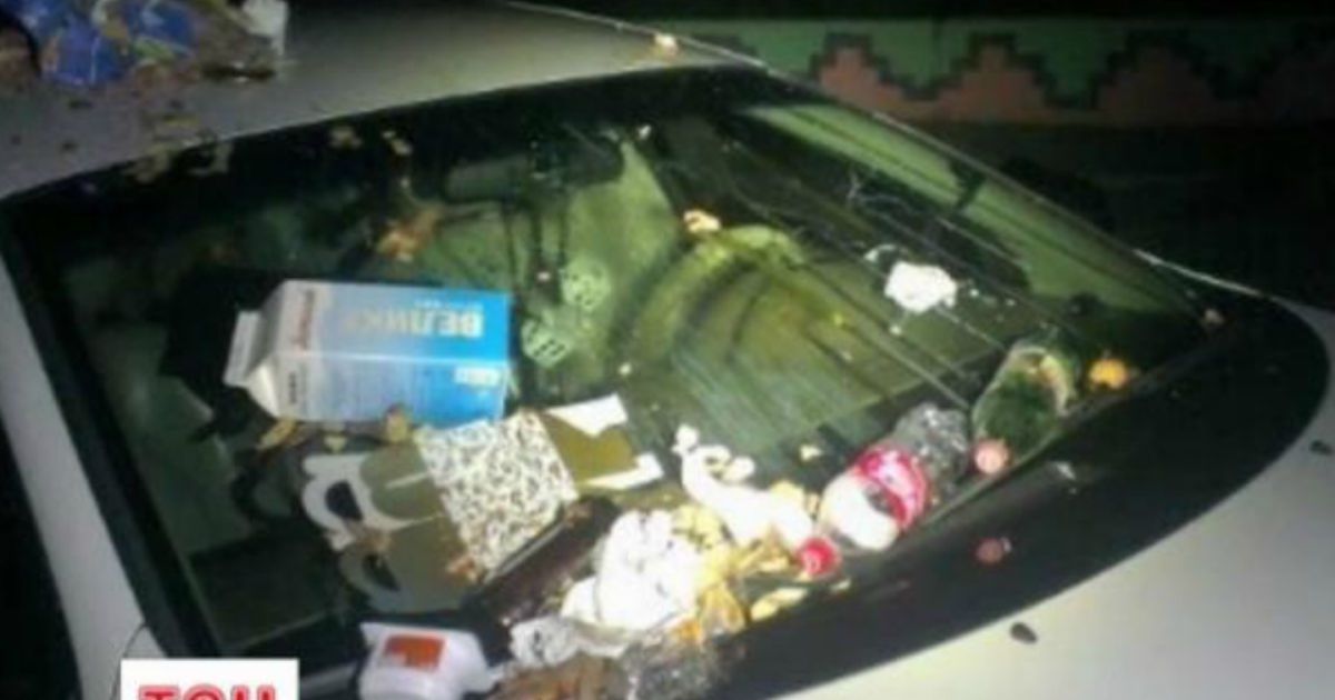 Жителі столичної Троєщини "люстрували" сміттям припарковане на газоні авто