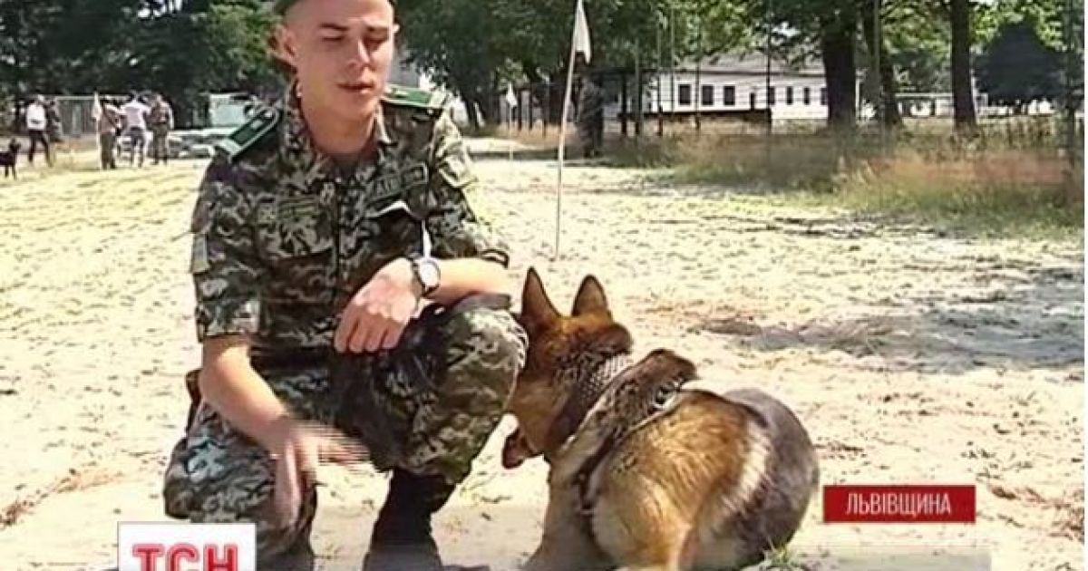 Собаки будут искать взрывчатку в зоне АТО