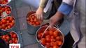 Несколько десятков активистов забросали портреты народных депутатов помидорами