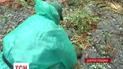 Дніпропетровськ оговтується від ударів стихії
