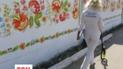 Паркан прикрасили петриківським розписом