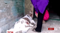Від початку перемир'я на Сході України загинула щонайменше 331 людина