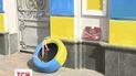 Активісти розмалювали білий паркан заміського будинку Петра Порошенка в національні кольори