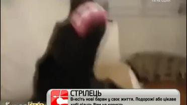 Співочий пес підкорив Інтернет