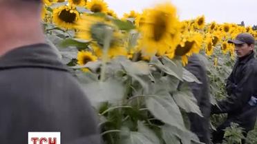 Сотни людей ищут тела пассажиров, находившихся на борту Boeing 777